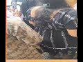 Women Harassment Wrong Touch In Public Crowd Sundaybazar India Nepal Bangladesh Pakistan