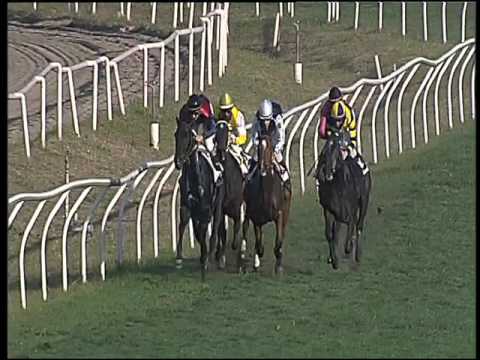 Galoppo 02/12/2015 - 2° corsa