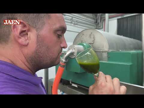 Producción de aceite - Hacienda El Palo Reserva Dose 5L