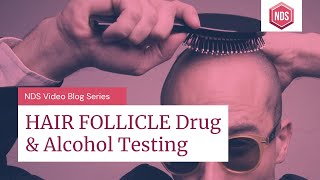 Hair Follicle Drug Test (For Trucking, Employment, Court-ordered and More)