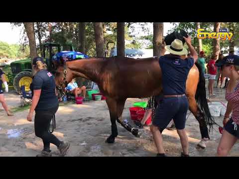 Yasmin Ingham at the European Young Rider Champs in France