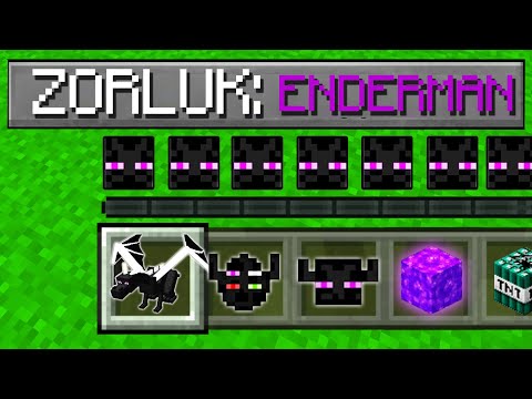 ENDERMAN ZORLUK SEVİYESİ - Minecraft
