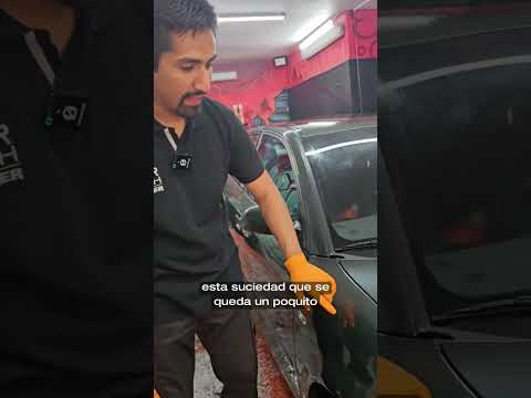 VIDEO    - Champú lavado manual