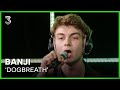 Banji live met 'Dogbreath' | 3FM Live Box | NPO 3FM
