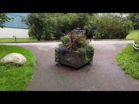 What is it like working with a code monkey?