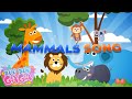 The Mammal Song for Kids [by Boo Boo Gaga] #booboogaga