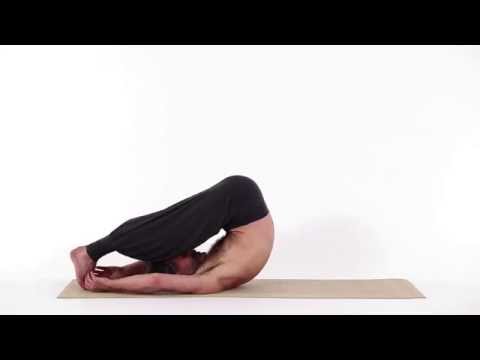 Pflughaltung - Hala Asana