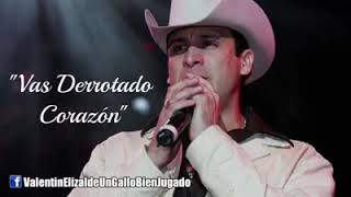 Vas derrotado corazón valentin elizalde