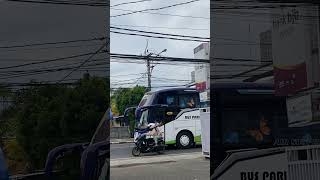 Download lagu jetbus 5 suryaputra mp3 Download lagu jetbus 5 suryaputra mp3