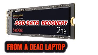 How To Recover SSD HDD Data From A Dead Laptop | Don