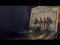 Aesthetic The Beach Boys Surfer Girl Vinyl Rip