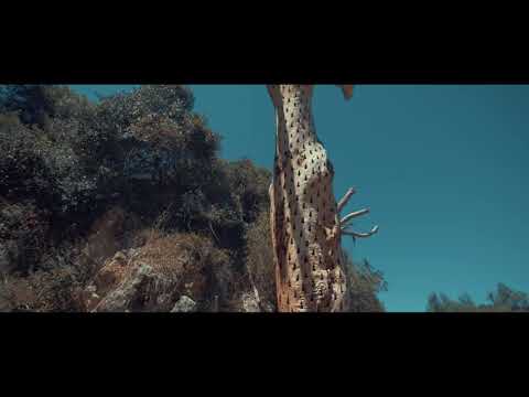 NENNY x i.M - BÚSSOLA