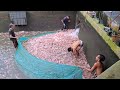 KESERUAN PANEN IKAN NILA MERAH SEBANYAK 4TON