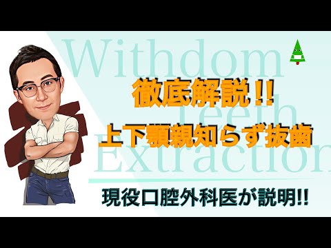 下顎について詳しく解説