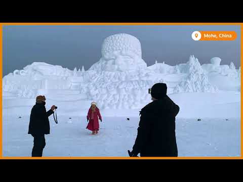 スライドショー。雪の世界 (Slideshow: Snowy world)