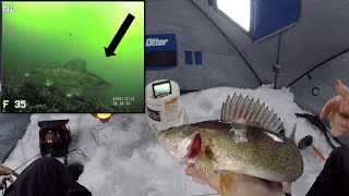 Mille Lacs Walleye | Underwater Ice Fishing 2019