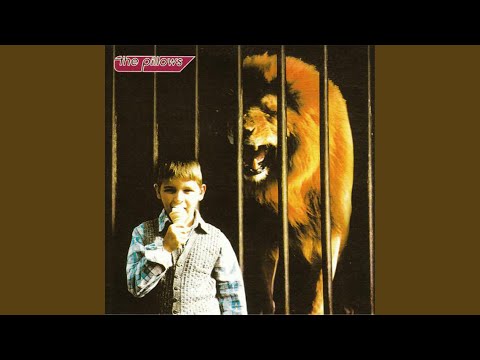 Hello Welcome To Bubbletowns Happy Zoo - the pillows
