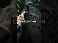 ️ QUÉ PASÓ Con La Colonia PERDIDA De Roanoke El Misterio De CROATOAN Shorts Roanoke