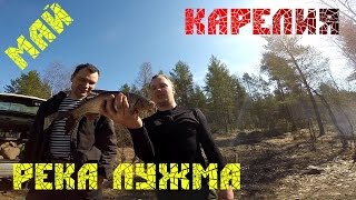 Река лужма рыбалка
