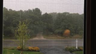 Wisconsin in the Rain, by Hilary Hahn