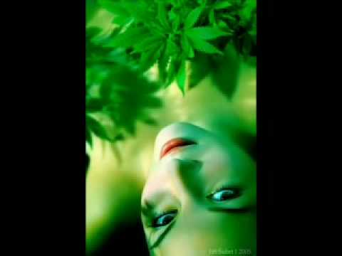 Spens - damata v zeleno ( lady in green )