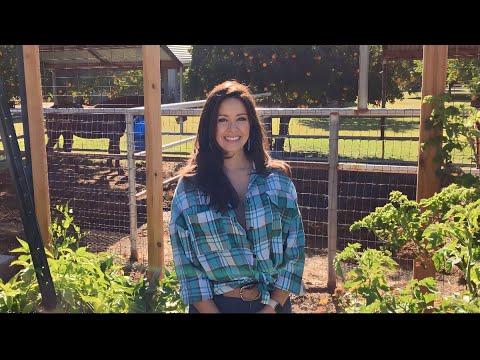 Effective Aphid Control Methods For Cucumber Plants: My Journey To Obtain a Pest-Free Garden