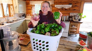 Last of the High Tunnel: Freezer Peppers, Canned Lemonade & Jalapeño Poppers