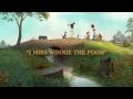 Winnie The Pooh Buzz Spot