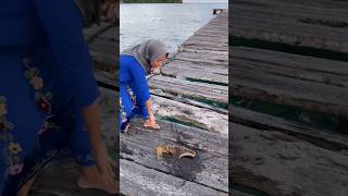 Download lagu Mothers fishing for squid in the sea mp3