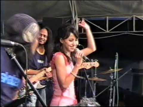 KUPU KUPU MALAM (DWI RATNA)