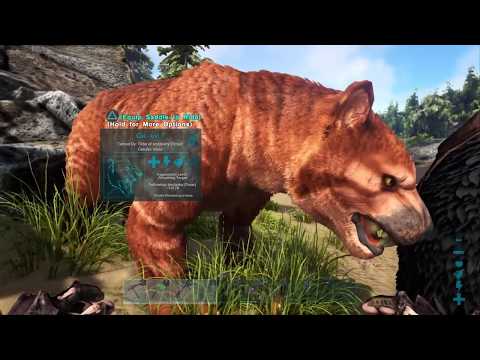 ARK - How To Solo Tame A THYLACOLEO & Make the SADDLE!