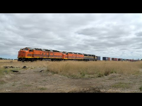 CLF4, CLF2 & C501 With SCT 7922V Dooen Containers (14/2/2021) PoathTV Railways In Australia