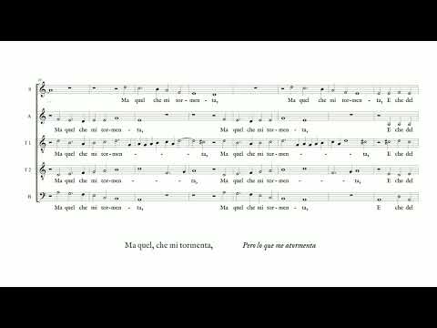 Cipriano de Rore: Non è lasso martire (La Compagnia del Madrigale)