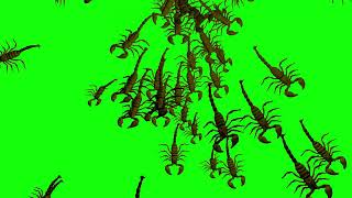 4k Raining Scorpions with green screen FX Effect