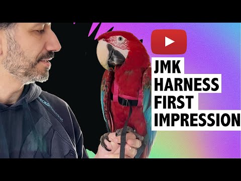 Parrot Harness Review: New JMK Parrot Harness | First Impressions