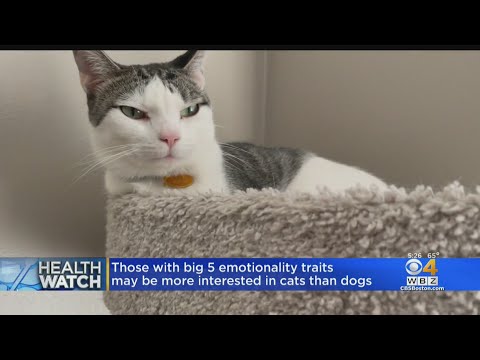 HeathWatch: Potential RSV vaccine coming; benefits of emotional support cats