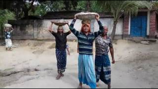 কাজের ভিডিও