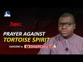 Deliverance Prayers Against Tortoise Spirit Spiritual Meaning Of Tortoise
