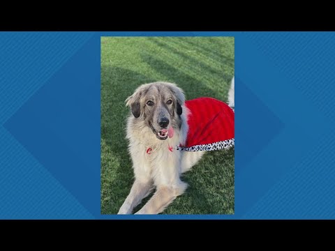 Sammy's Stars: Oct. 28, 2025 - YouTube