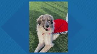 Sammy's Stars: Oct. 28, 2025