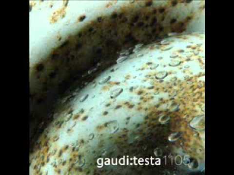 Gaudi & Antonio Testa - Prologue - Helictite Labyrinth (Gaudi:Testa 1105)