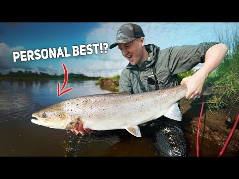 Big Salmon Fishing, In Denmark - Epic Spin Fishing For Huge Salmon!