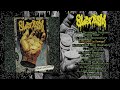 Blemish Omnipresence Full Album NJ Deathgrind 2023