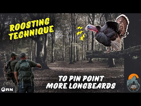 Best way to Roost a Turkey | Turkey Tips and Tactics |