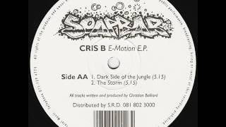 Cris B - Dark Side Of The Jungle