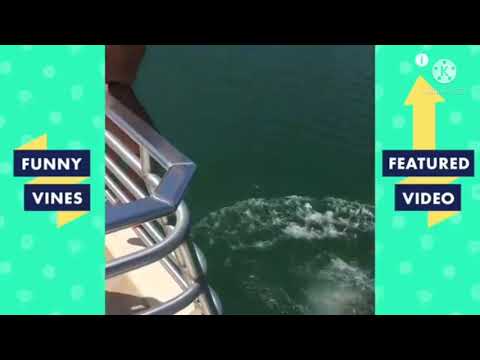 Kaimook bnk48 has fallen into something