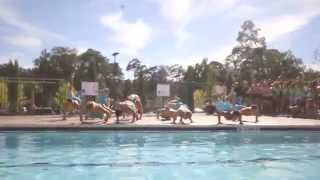 FSU DG Anchor Splash - Chi Phi - 2015