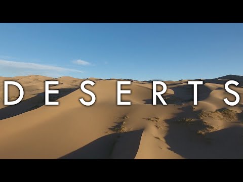 Il bioma del deserto - Biomi # 4