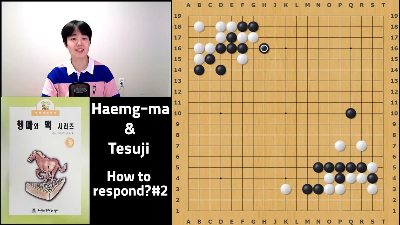 Train Your Go Intuition 2: More Shape and Tesuji Problems feat. Haemg-ma