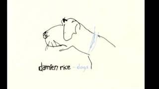 Damien Rice - Accidental Babies (Live at Wisseloord Studios)